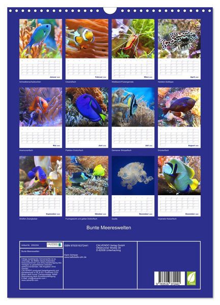 Produktbild: Bunte Meereswelten (Wandkalender 2026 DIN A3 hoch), CALVENDO Monatskalender
