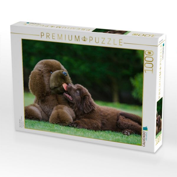 Produktbild: CALVENDO Puzzle Neufundl&auml;nder | 1000 Teile Lege-Gr&ouml;&szlig;e 64x48cm Foto-Puzzle f&uuml;r gl&uuml;ckliche Stunden