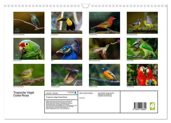 Produktbild: Tropische V&ouml;gel Costa Ricas (Wandkalender 2026 DIN A3 quer), CALVENDO Monatskalender