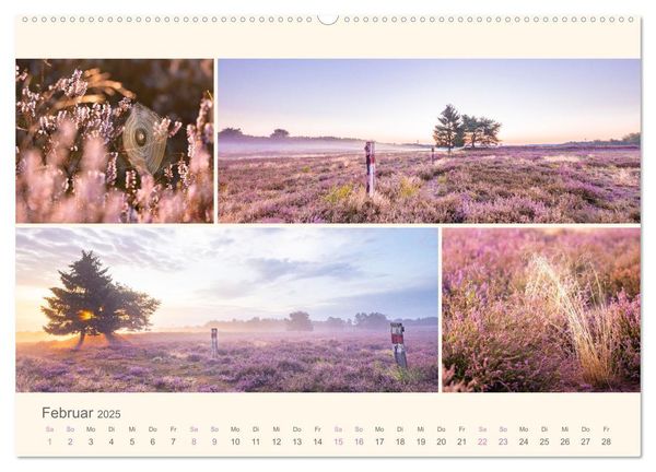 Mehlinger Heide (Wandkalender 2025 DIN A2 quer), CALVENDO Monatskalender