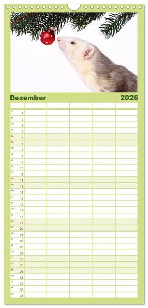 Produktbild: Familienplaner 2026 - Frettchen - Ferrets mit 5 Spalten (Wandkalender, 21 x 45 cm) CALVENDO
