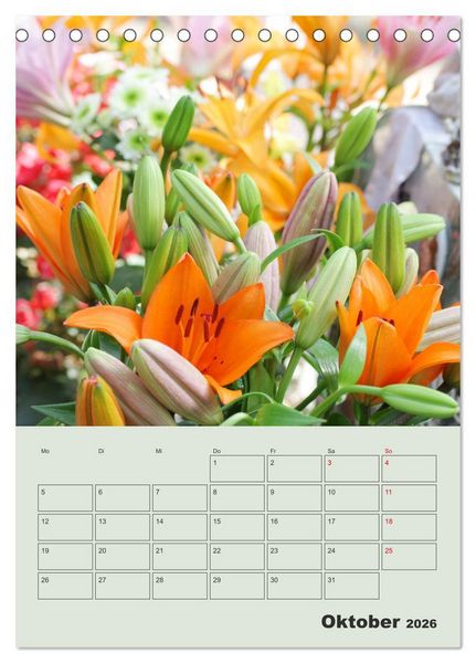 Produktbild: Lilien im Garten (Tischkalender 2026 DIN A5 hoch), CALVENDO Monatskalender
