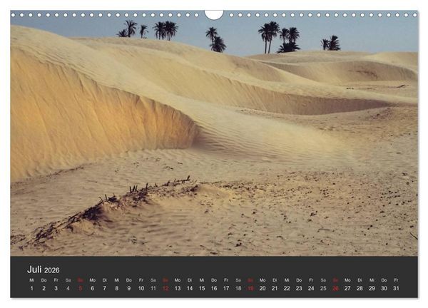 Produktbild: W&uuml;sten, wilde Sch&ouml;nheiten (Wandkalender 2026 DIN A3 quer), CALVENDO Monatskalender