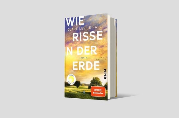 Wie Risse in der Erde