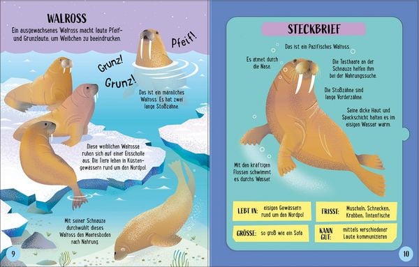 Produktbild: Zusammenstecken und Entdecken: Meerestiere