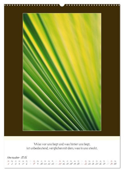 Produktbild: Der Buddhistische Weisheiten Kalender (hochwertiger Premium Wandkalender 2026 DIN A2 hoch), Kunstdruck in Hochglanz