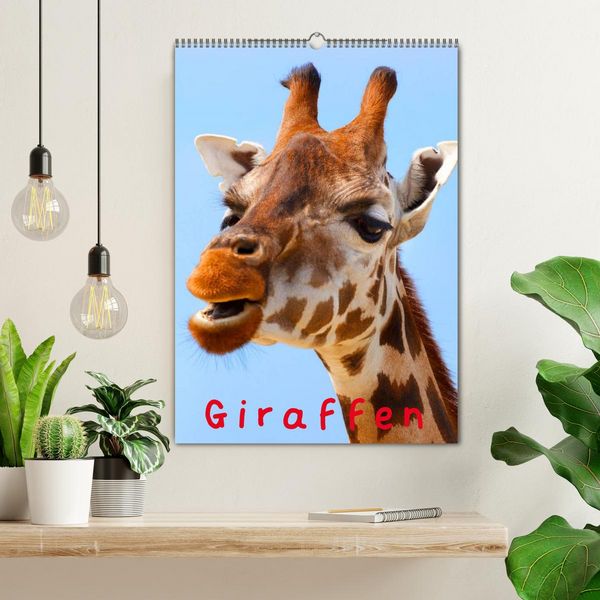 Produktbild: Giraffen (Wandkalender 2026 DIN A2 hoch), CALVENDO Monatskalender