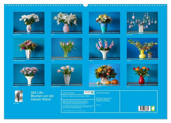 Produktbild: Still Life - Blumen vor der blauen Wand (Wandkalender 2026 DIN A2 quer), CALVENDO Monatskalender