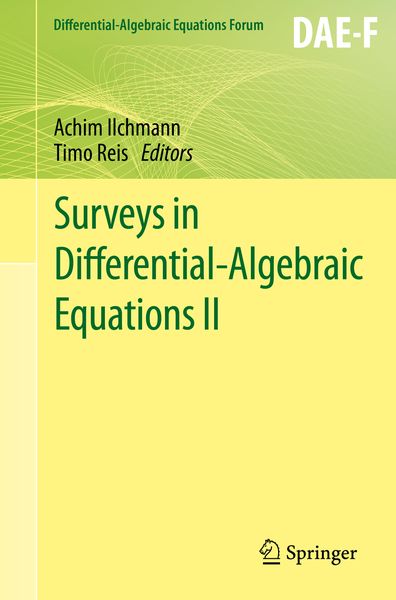 Produktbild: Surveys in Differential-Algebraic Equations II