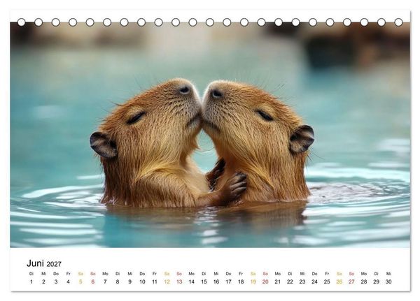 Produktbild: Capybara - liebenswertes gro&szlig;es Wasserschwein (Tischkalender 2027 DIN A5 quer), CALVENDO Monatskalender