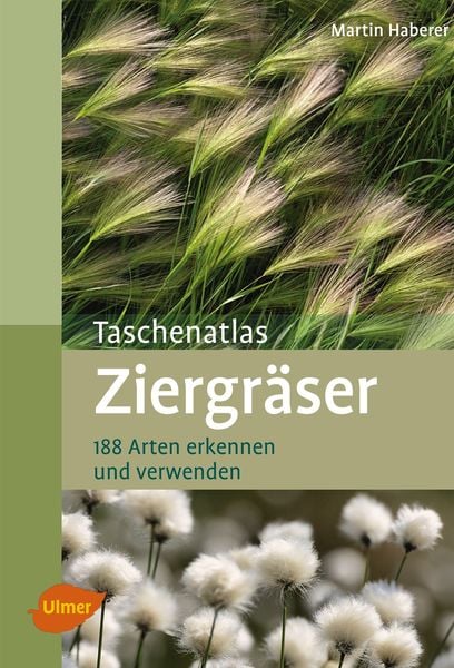 Ziergräser, Taschenbuch von Martin Haberer, Verlag Eugen Ulmer, 9783800182718