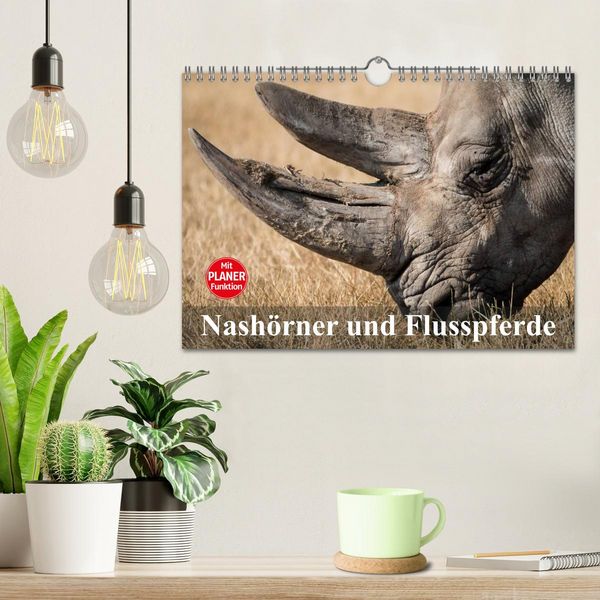 Produktbild: Nash&ouml;rner und Flusspferde (Wandkalender 2026 DIN A4 quer), CALVENDO Monatskalender