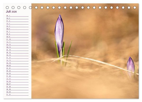 Produktbild: Wenn im Fr&uuml;hling die Natur wieder erwacht (Tischkalender 2026 DIN A5 quer), CALVENDO Monatskalender