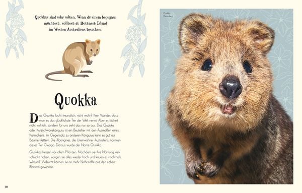 Produktbild: Wundervolle Welt der Tiere
