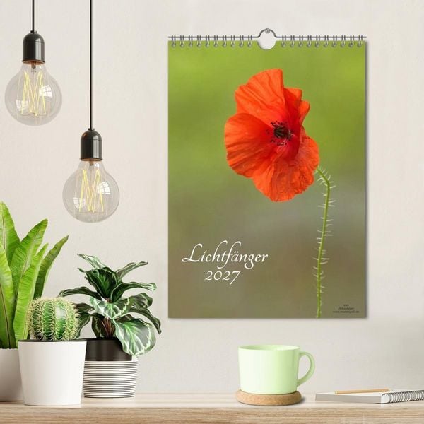 Produktbild: Lichtf&auml;nger (Wandkalender 2027 DIN A4 hoch), CALVENDO Monatskalender