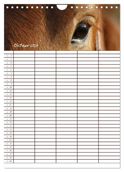 Produktbild: Der Kaltblut-Familienplaner (Wandkalender 2026 DIN A4 hoch), CALVENDO Monatskalender