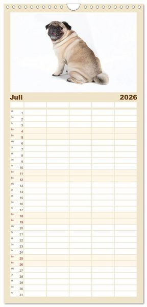 Produktbild: Familienplaner 2026 - Mops - unwiderstehlich und charmant mit 5 Spalten (Wandkalender, 21 x 45 cm) CALVENDO