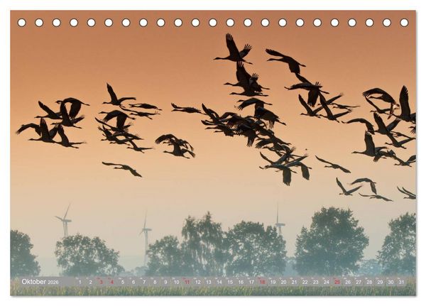 Produktbild: KranichRomantik (Tischkalender 2026 DIN A5 quer), CALVENDO Monatskalender
