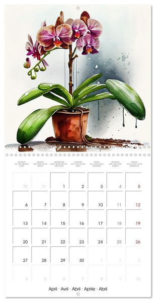 Produktbild: The Art of House Plants (Wall Calendar 2026 12 &times; 12 Inch) CALVENDO 12 Month Wall Calendar