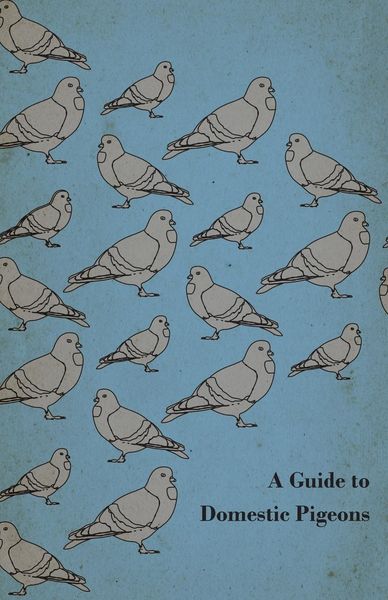 Produktbild: A Guide to Domestic Pigeons - With Chapters on Doves, Training and Their Habits