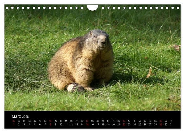 Produktbild: Die Welt der Berge (Wandkalender 2026 DIN A4 quer), CALVENDO Monatskalender