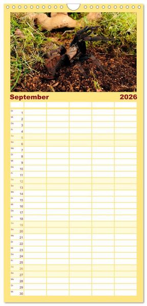 Produktbild: Familienplaner 2026 - Vogelspinnen - Tarantulas mit 5 Spalten (Wandkalender, 21 x 45 cm) CALVENDO