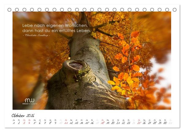 Produktbild: Gedanken... Bildkalender mit Spr&uuml;chen (Tischkalender 2026 DIN A5 quer), CALVENDO Monatskalender