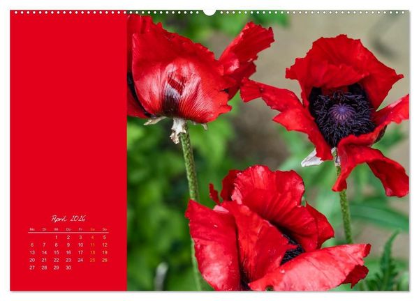 Produktbild: Bl&uuml;tenstil (hochwertiger Premium Wandkalender 2026 DIN A2 quer), Kunstdruck in Hochglanz