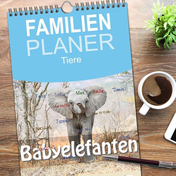 Produktbild: Familienplaner 2026 - Babyelefanten mit 5 Spalten (Wandkalender, 21 x 45 cm) CALVENDO