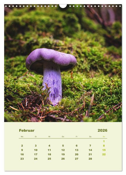 Produktbild: Wundersame Welt der Pilze (Wandkalender 2026 DIN A3 hoch), CALVENDO Monatskalender