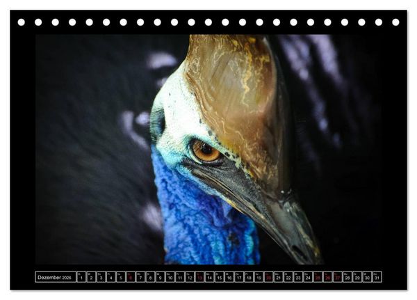 Produktbild: Australia Wildlife (Tischkalender 2026 DIN A5 quer), CALVENDO Monatskalender