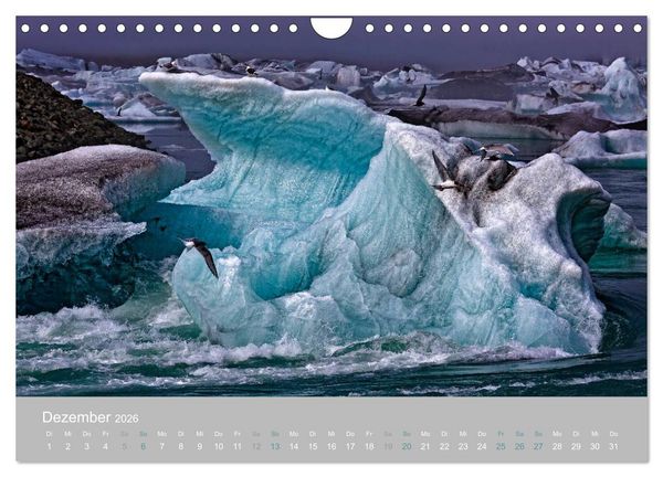 Produktbild: What a wonderful world (Wandkalender 2026 DIN A4 quer), CALVENDO Monatskalender