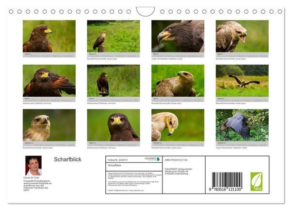 Produktbild: Scharfblick (Wandkalender 2026 DIN A4 quer), CALVENDO Monatskalender