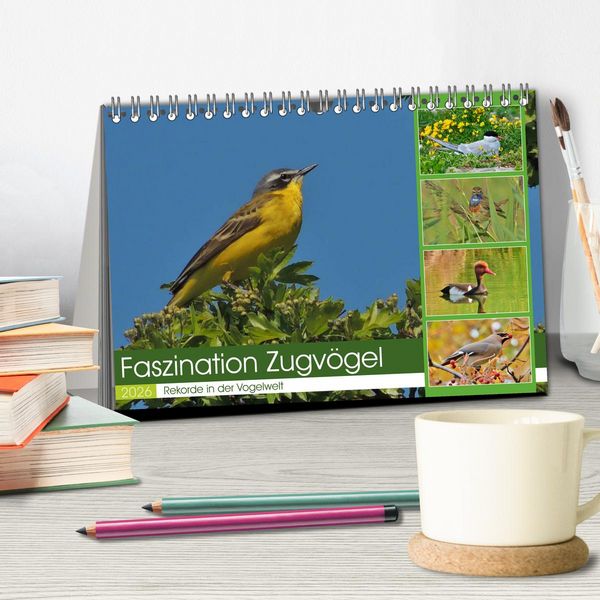 Produktbild: Faszination Zugv&ouml;gel - Rekorde in der Vogelwelt (Tischkalender 2026 DIN A5 quer), CALVENDO Monatskalender