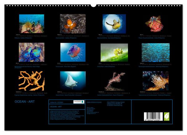 Produktbild: OCEAN - ART (hochwertiger Premium Wandkalender 2026 DIN A2 quer), Kunstdruck in Hochglanz