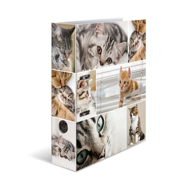 Produktbild: Herma Motiv-Ordner A4 Animals Katzen