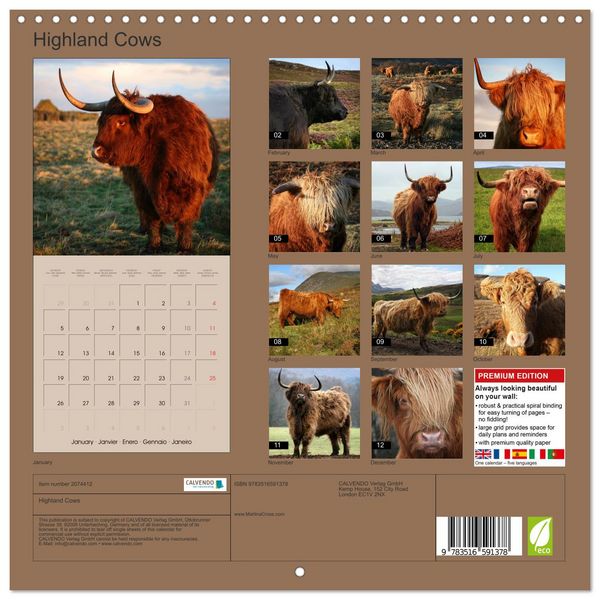 Produktbild: Highland Cows (Wall Calendar 2026 12 &times; 12 Inch) CALVENDO 12 Month Wall Calendar