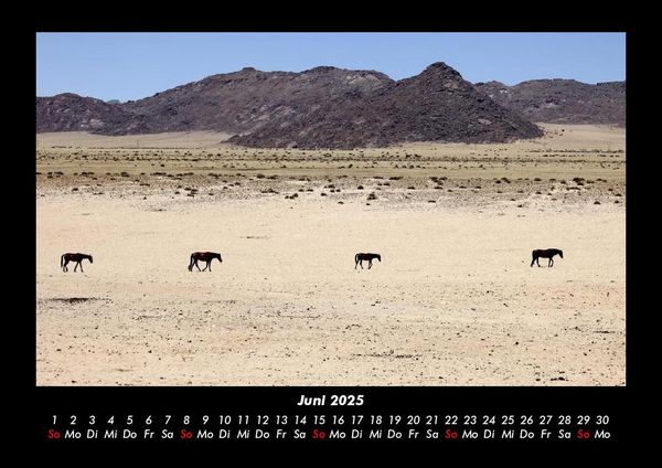 Produktbild: Pferde Kalender 2025 Fotokalender DIN A3