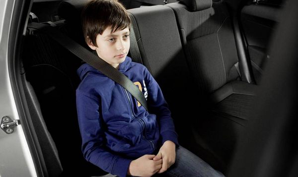 Produktbild: LifeHammer 19161 SAFETY BELT SOLUTION Sicherheitsgurtf&uuml;hrung Kinder, Erwachsene 1St.