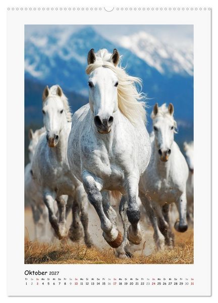 Produktbild: Lippizaner Poesie. Edle Pferde zum Tr&auml;umen und Verlieben (hochwertiger Premium Wandkalender 2027 DIN A2 hoch), Kunstdruck in Hochglanz