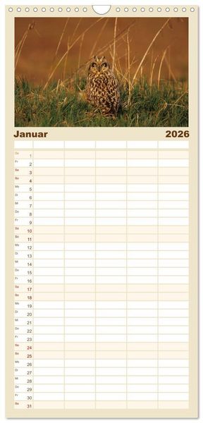 Produktbild: Familienplaner 2026 - Heimische Eulen und Greife mit 5 Spalten (Wandkalender, 21 x 45 cm) CALVENDO