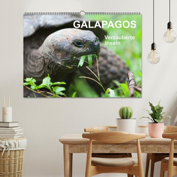 Produktbild: Galapagos. Verzauberte Inseln (Wandkalender 2026 DIN A2 quer), CALVENDO Monatskalender
