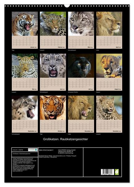 Produktbild: Gro&szlig;katzen. Raubkatzengesichter (Wandkalender 2026 DIN A2 hoch), CALVENDO Monatskalender