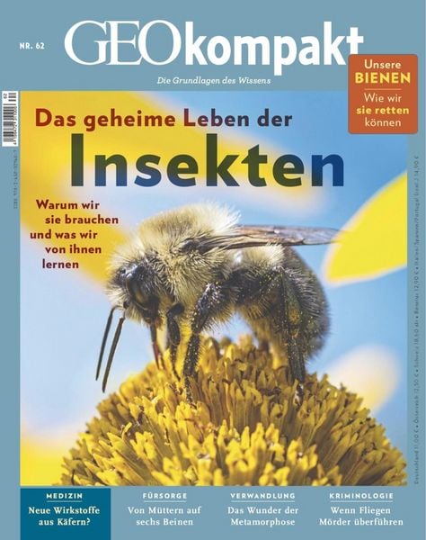 Produktbild: GEO kompakt 62/2020 - Das geheime Leben der Insekten