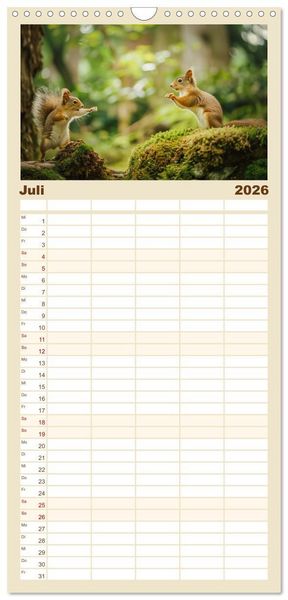 Produktbild: Familienplaner 2026 - Lustige Eichh&ouml;rnchen mit 5 Spalten (Wandkalender, 21 x 45 cm) CALVENDO