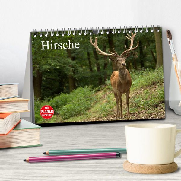 Produktbild: Hirsche (Tischkalender 2026 DIN A5 quer), CALVENDO Monatskalender