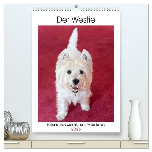 Der Westie - Portrait eines West Highland White Terriers (hochwertiger Premium Wandkalender 2026 DIN A2 hoch), Kunstdruck in Hochglanz