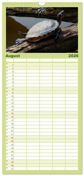 Produktbild: Familienplaner 2026 - Das Leben der Schildkr&ouml;ten mit 5 Spalten (Wandkalender, 21 x 45 cm) CALVENDO