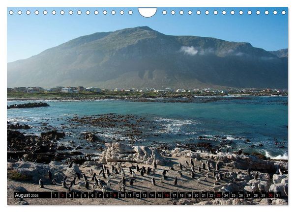 Produktbild: S&uuml;dafrika (Wandkalender 2026 DIN A4 quer), CALVENDO Monatskalender