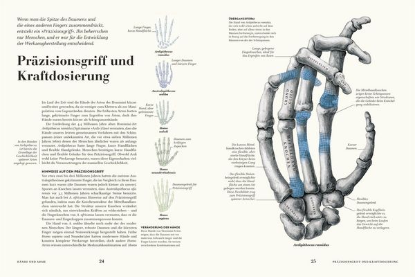Produktbild: HUMANS. Der Mensch